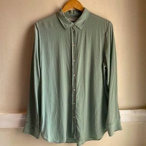 Everlane Clean Silk Relaxed Shirt in Spearmint